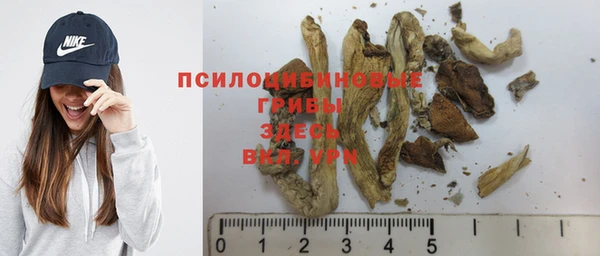ALPHA-PVP Новодвинск