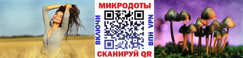 Купить закладки  Серпухов  Галлюциногенные грибы GOLDEN TEACHER 